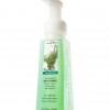 Bath & Body Works Kitchen Herb Anti-Bacterial CLASSICS Gentle Foaming Hand Soap
