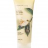 Bath & Body Works White Tea & Ginger Signature Collection CLASSICS Body Cream