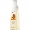 Bath & Body Works Kitchen Spice Anti-Bacterial CLASSICS Gentle Foaming Hand Soap