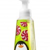 Bath & Body Works Peppermint Patty Anti-Bacterial Gentle Foaming Hand Soap