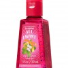 Bath & Body Works Christmas Candy Anti-Bacterial PocketBac® Sanitizing Hand Gel
