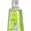 Bath & Body Works Island Margarita Anti-Bacterial Pocketbac® Sanitizing Hand Gel