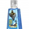 Bath & Body Works Snob Berry Anti-Bacterial PocketBac® Sanitizing Hand Gel
