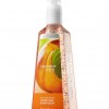 Bath & Body Works Nectarine Mint® Anti-Bacterial Sanitizing Hand Gel
