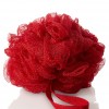Bath & Body Works Accessories Gauze Sponge Red