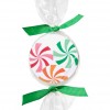 Bath & Body Works Accessories Expandable Washcloth Candy