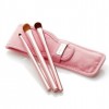 Mally Beauty Paint the Town Eye Brush Kit