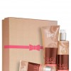 Bath & Body Works Shea Cashmere Signature Collection Shea Cashmere Gift Box