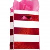 Bath & Body Works Accessories Small Gift Bag Red Stripe