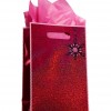 Bath & Body Works Accessories Small Gift Bag Red Holograph