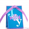 Bath & Body Works  Accessories Mini Gift Bag Blue Joy