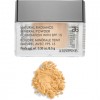 Arbonne Natural Radiance Mineral Powder Foundation with SPF 15