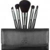 Arbonne Travel Brush Set