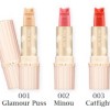 Paul & Joe Meow! Blusher Sticks