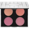 Tarina Tarantino Dollskin Cheek Palette