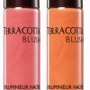 Guerlain Terracotta Blush Sun Shimmer Highlighter