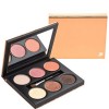 Lancôme Pink Safari Color Design Eye Palette