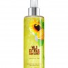 Bath & Body Works Wild Citrus Sunflower™ Signature Collection Shimmer Mist