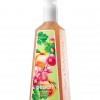 Bath & Body Works Cilantro Peach Anti-Bacterial Deep Cleansing Hand Soap
