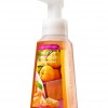 Bath & Body Works Fresh Picked Tangerines Anti-Bacterial Gentle Foaming Hand Soap