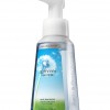 Bath & Body Works Summer Escape Anti-Bacterial Gentle Foaming Hand Soap