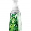 Bath & Body Works Eucalyptus Mint Anti-Bacterial Gentle Foaming Hand Soap