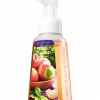 Bath & Body Works Fresh Picked Peaches Anti-Bacterial Gentle Foaming Hand Soap