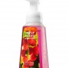 Bath & Body Works Fresh Picked Raspberries Anti-Bacterial Gentle Foaming Hand Soap