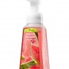 Bath & Body Works Fresh Picked Watermelon Anti-Bacterial Gentle Foaming Hand Soap