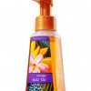 Bath & Body Works Mango Mai Tai Anti-Bacterial Gentle Foaming Hand Soap