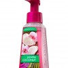 Bath & Body Works Paradise Coconut Anti-Bacterial Gentle Foaming Hand Soap