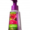 Bath & Body Works Wildberry Hibiscus Anti-Bacterial Gentle Foaming Hand Soap