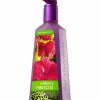 Bath & Body Works Wildberry Hibiscus Anti-Bacterial Deep Cleansing Hand Soap