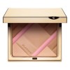 Clarins Colour Accents Face & Blush Palette
