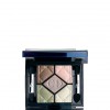 Dior 5 Couleurs Iridescent