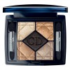 Dior 5 Couleurs Eyeshadow Palette in Night Golds