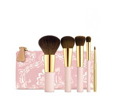 Aerin Brush Essentials
