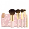 Aerin Brush Essentials
