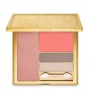 Aerin Fall Style Palette