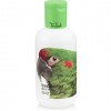 Tara Smith Feed the Root Shampoo
