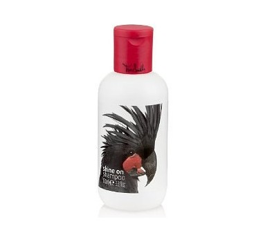 Tara Smith Shine On Shampoo
