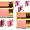 Estée Lauder Pure Color Pure Pop Powder Brush