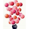 Dior Diorblush Cheek Cream