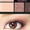 Shiseido Maquillage True Eye Shadow