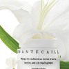 Chantecaille Jasmine & Lily Healing Mask