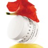 Chantecaille Fruit & Flower Acids Mask