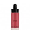 Giorgio Armani Maestro Fusion Blush