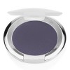 Chantecaille Lasting Eye Shade