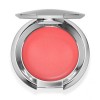 Chantecaille Lip Gloss