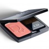 Dior Diorblush Vibrant Color Powder Brush
